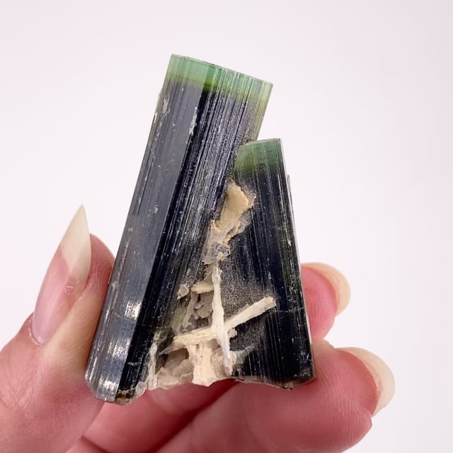 Tourmaline (multi-color crystals) with Albite