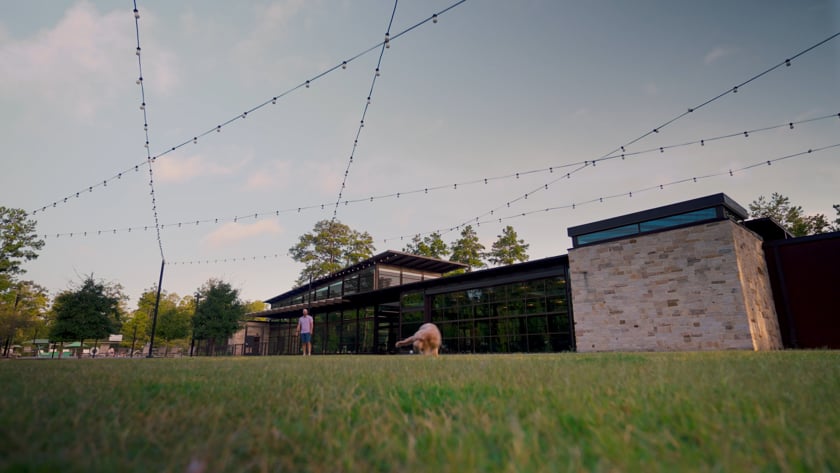 vimeo-video-thumbnail
