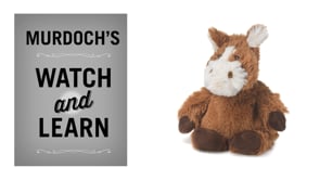 Murdoch's – Warmies by Intelex USA Plush Bobcat