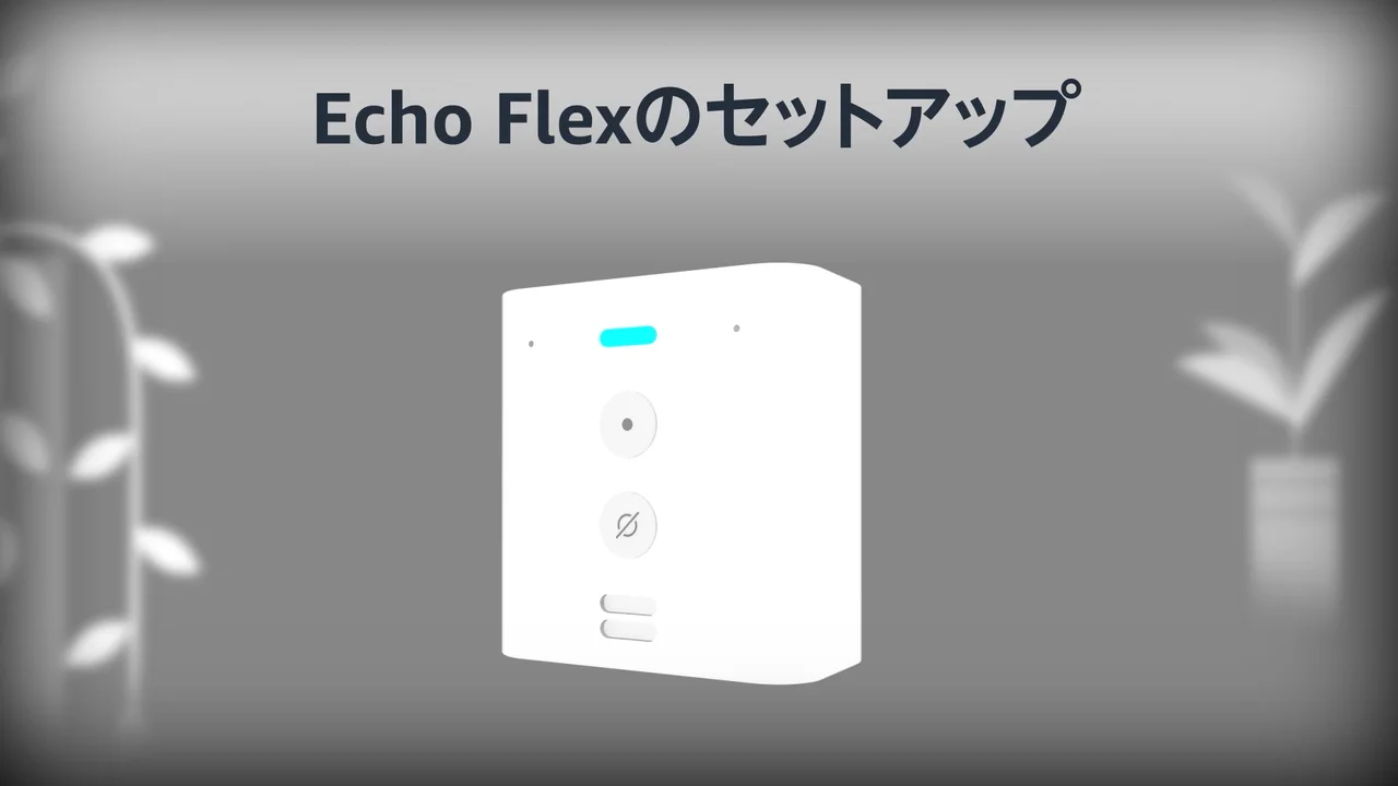 Set Up Your Echo Flex - Amazonカスタマーサービス Set Up Your Echo Flex - Amazonカスタマーサービス