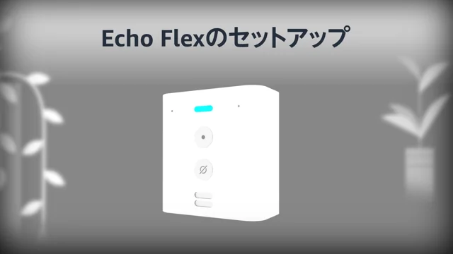 Echo Flexのセットアップ