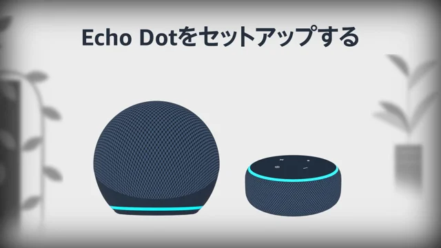 echo dot セットアップ できない