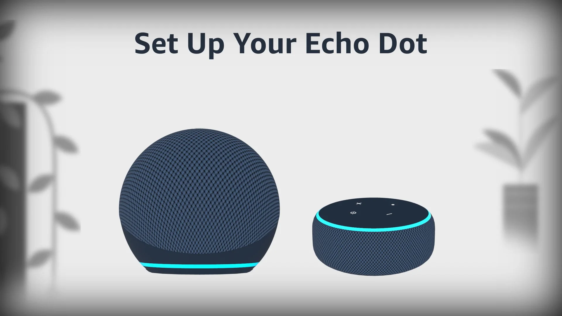 Registering amazon shops echo dot