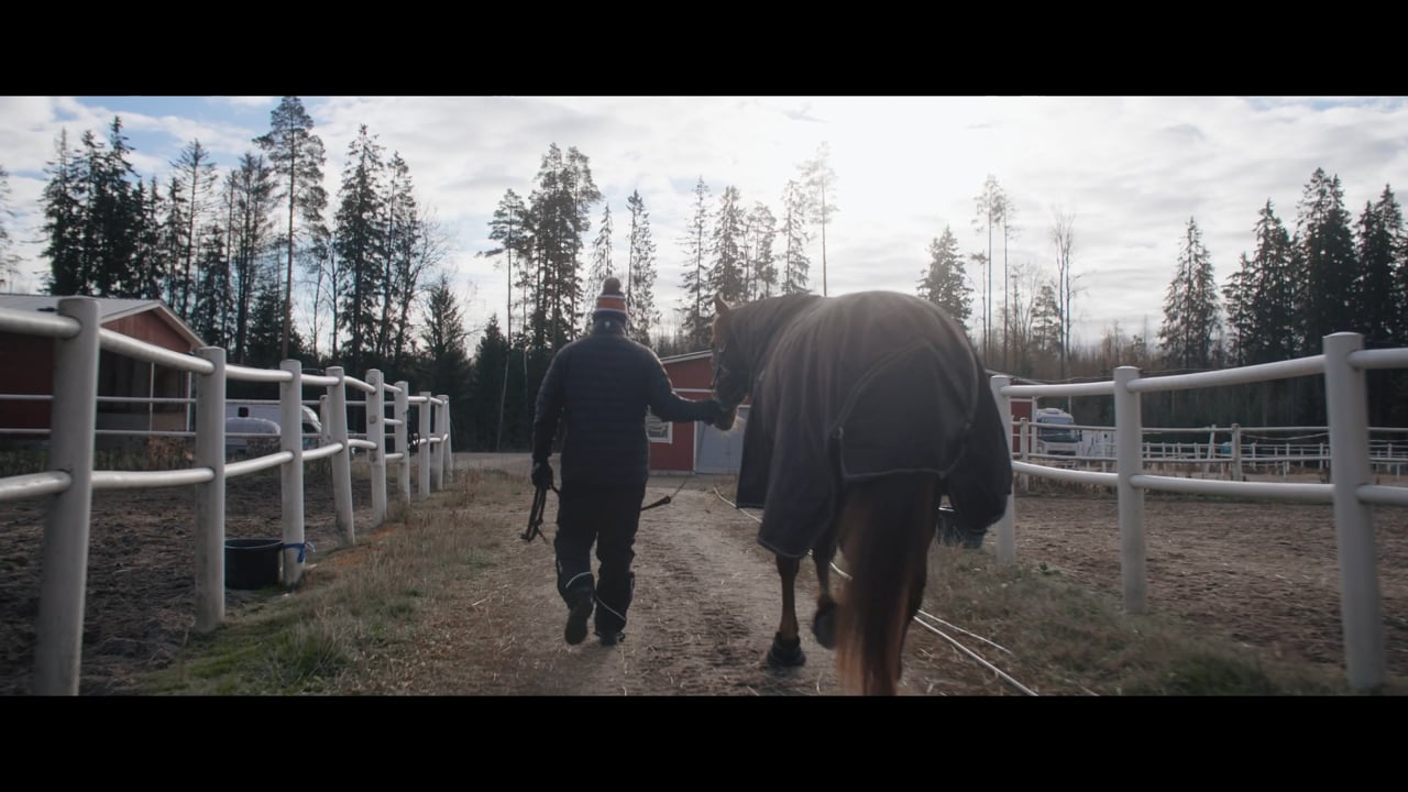 Wahlsten Brand Film ONLINE