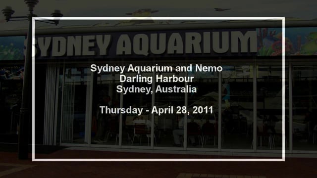 Sydney Aquarium & Nemo 