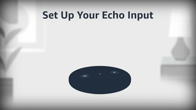Reset Your Echo Plus (1st Generation) and Keep Your Smart Home