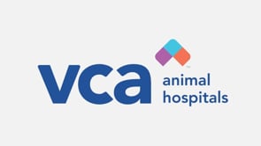 Vca orange animal sales hospital