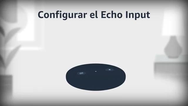 Echo cheap input oferta