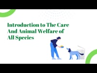 Animal Behaviour: Introduction to The Care And Animal Welfare of All Species