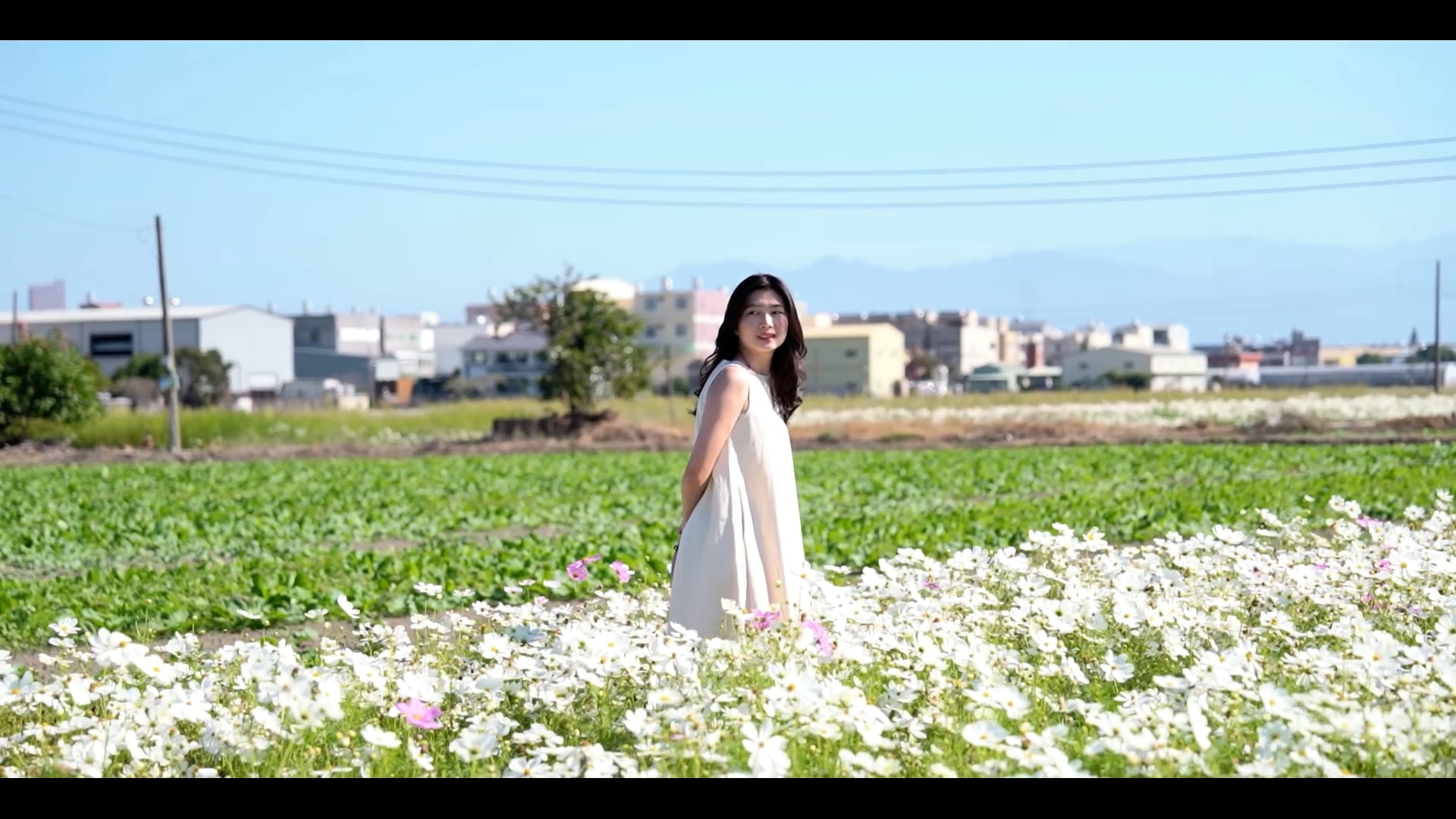 2023 嘉義花海生活節