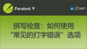如何使用“常见的打字错误”选项