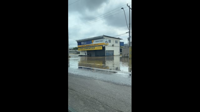Loafer Boston Croco Black