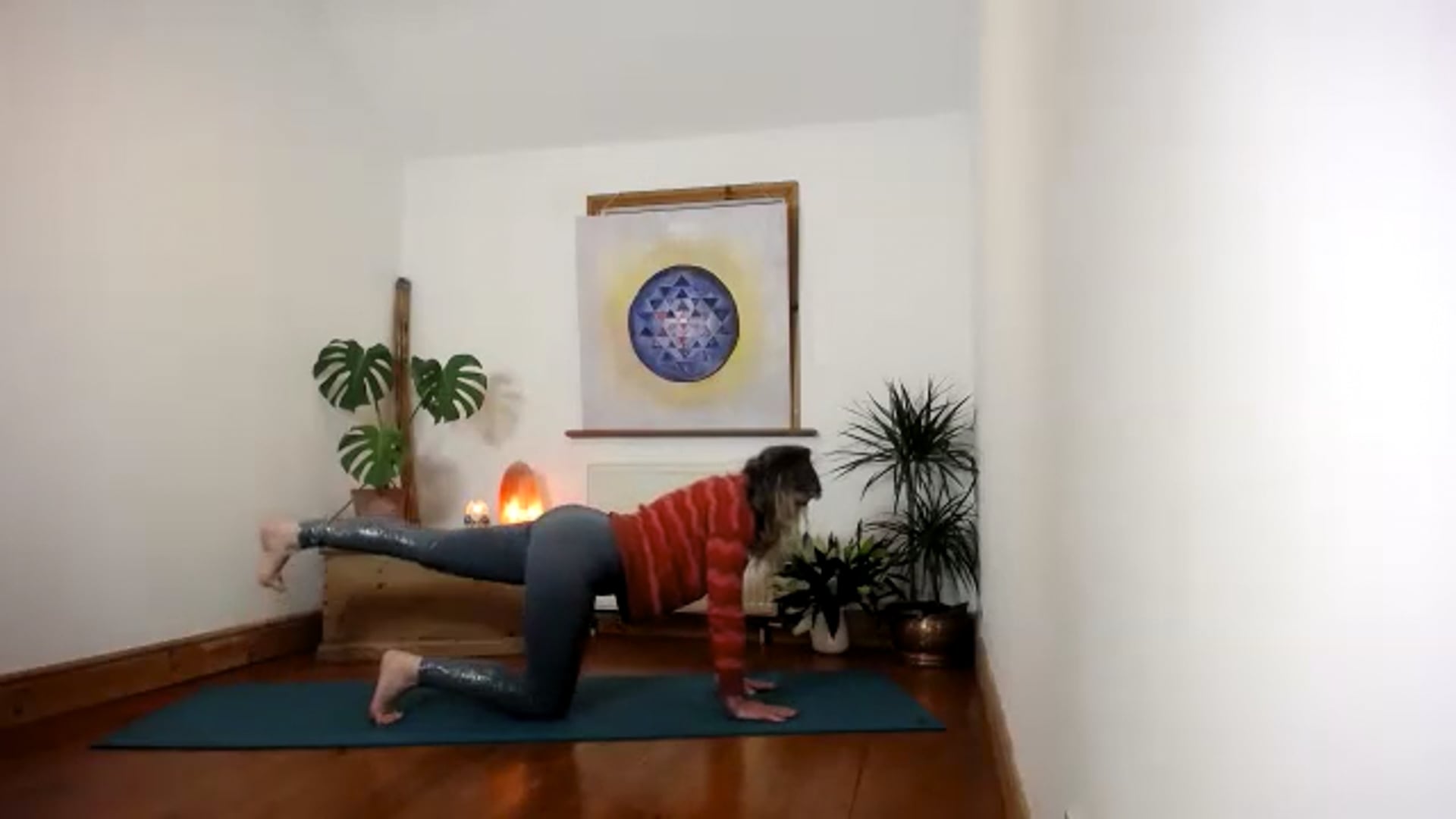 Multilevel wk4 Core Posture and pelvic Floor