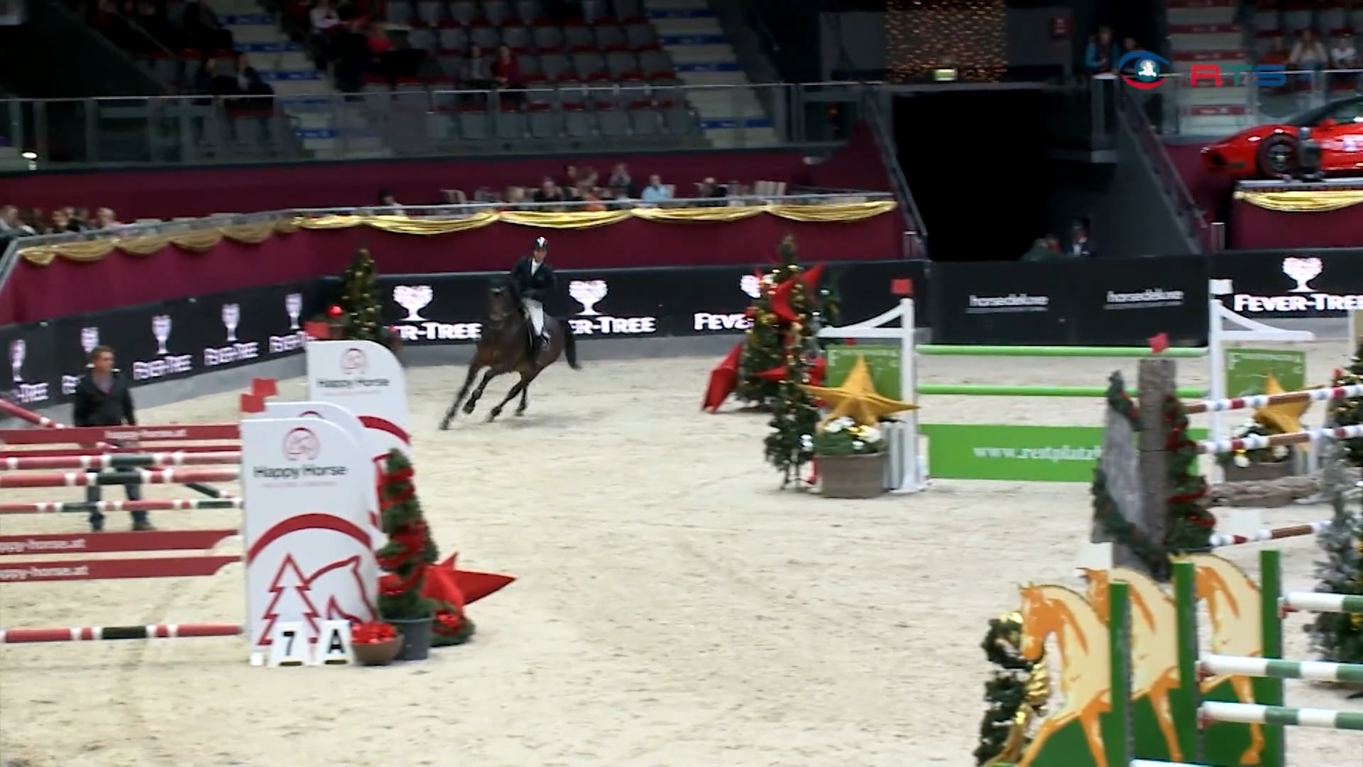 amadeus-horse-indoors-steht-in-den-startloechern