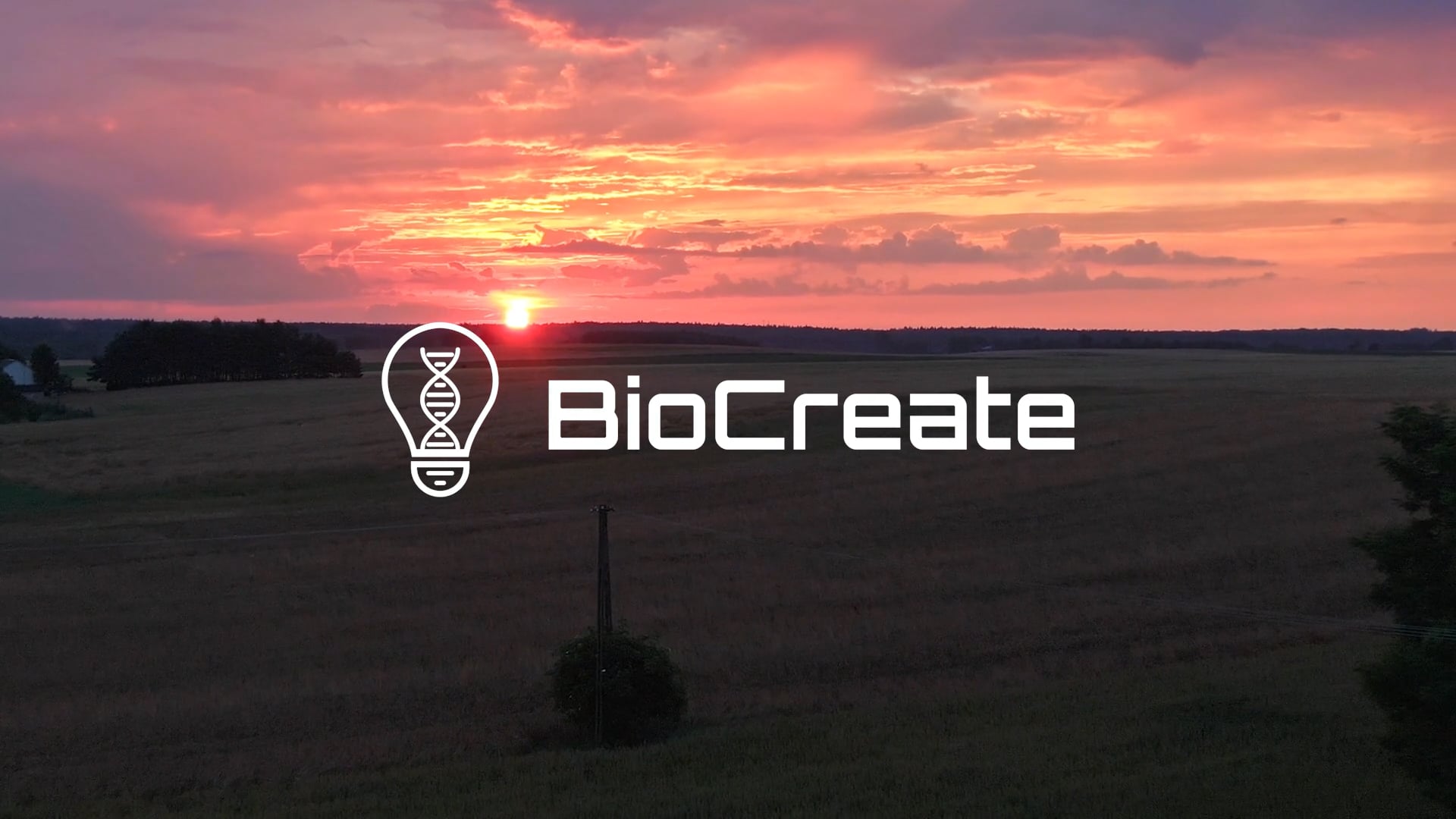 BioCreate: Pioneering Positive Change