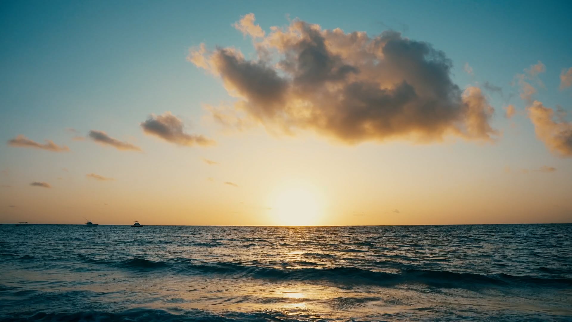 Pazzaz Blinds & Shutters - Brand Video