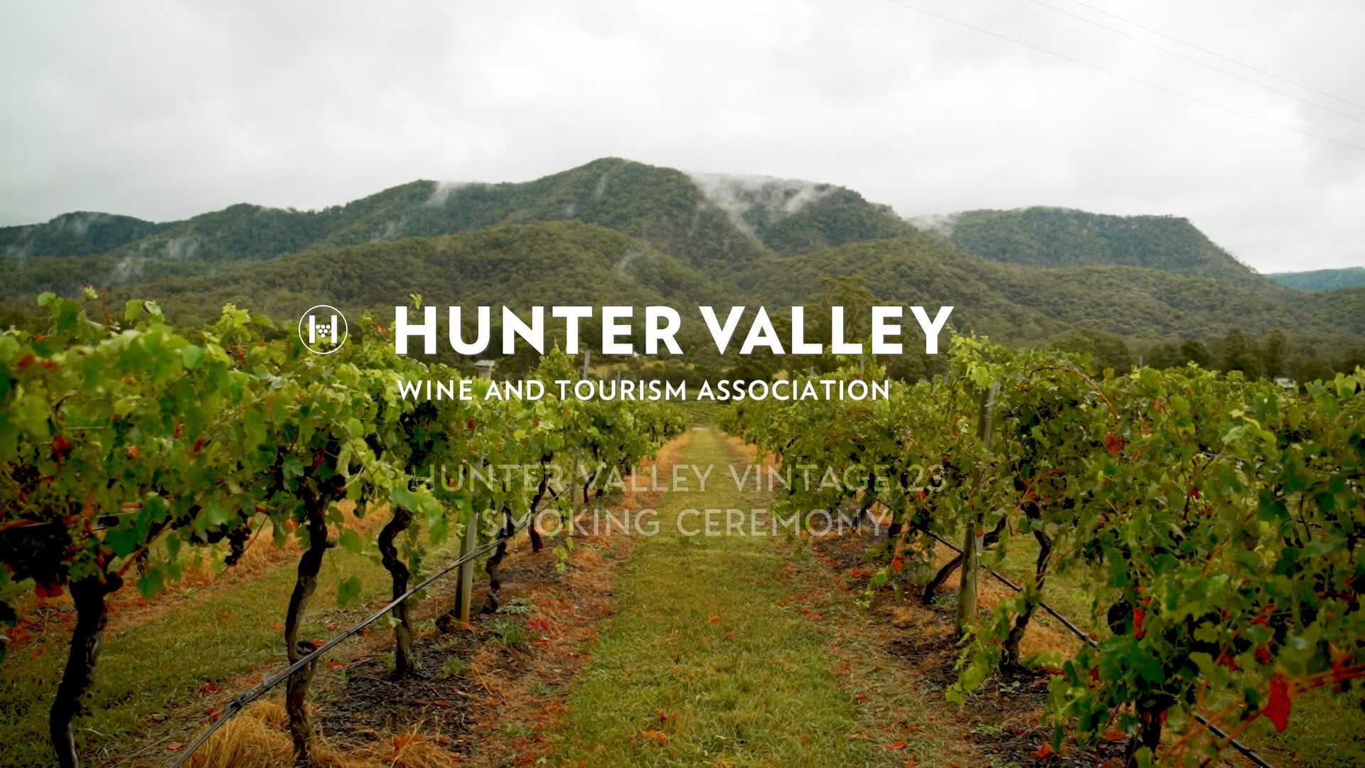 Hunter Valley 2023 Vintage Smoking Ceremony - Landscape