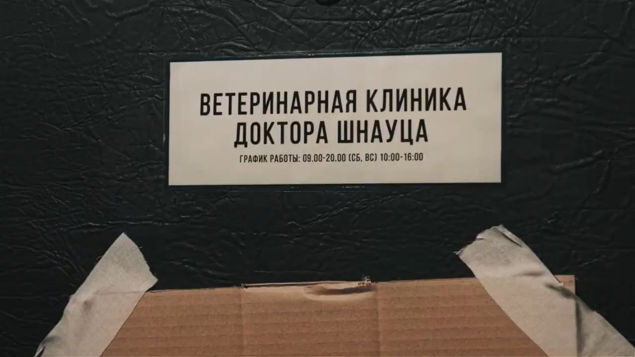 Кадр из видео квеста Питомец