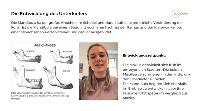Lektion 4 - Die Entwicklung des Unterkiefers