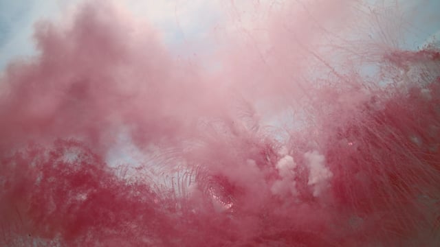 A thumbnail for the film 'YSL x Cai Studio - When the Sky Blooms With Sakura' by  hugo carlier