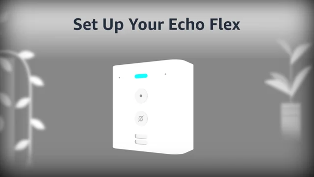Echo Flex - Plug-in mini smart speaker with Alexa