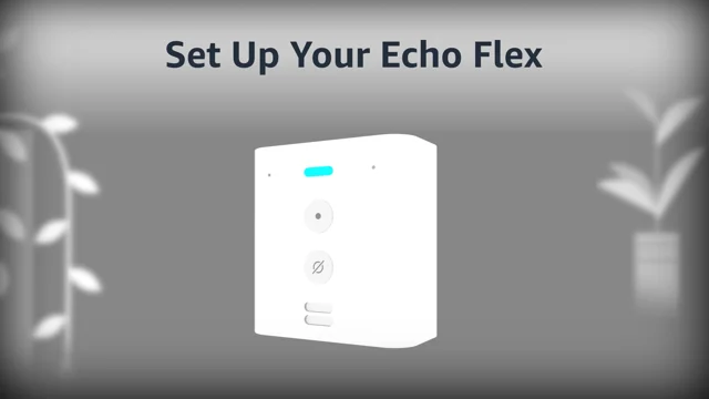 Set Up Your Echo Flex