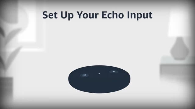 How does echo input 2024 work