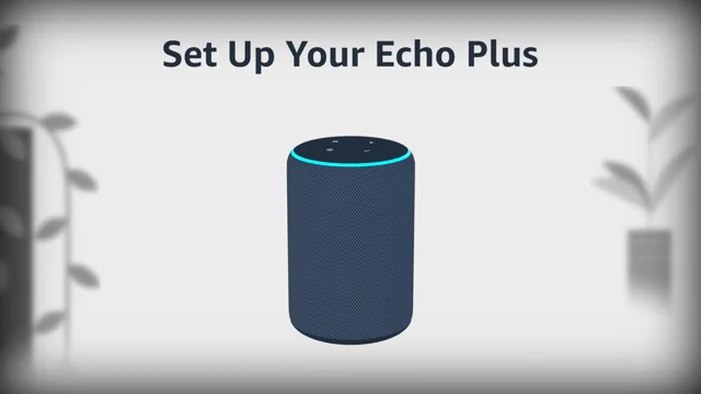 How do you set up a hot sale amazon echo