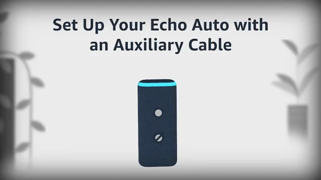 Amazon echo best sale aux out