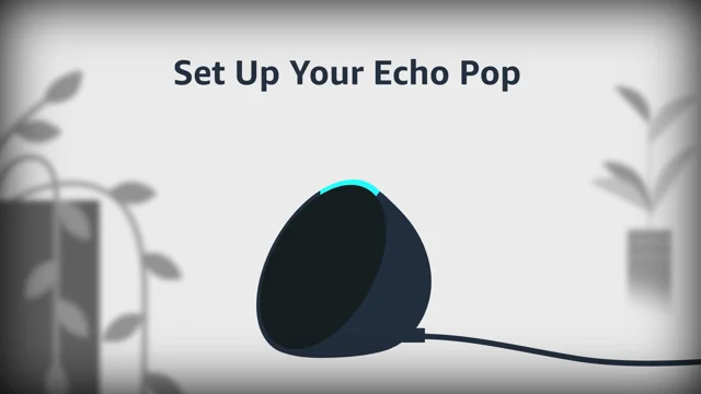 Echo Pop: Pricing, Features, How to Preorder - Parade