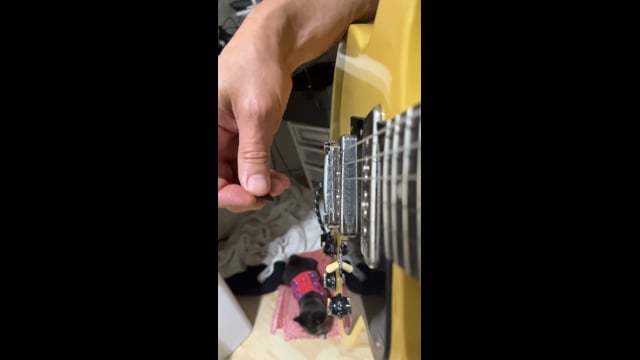 EVH grip - trem into sync