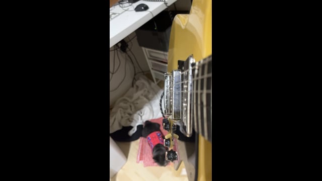 Nuno muting - trem into sync