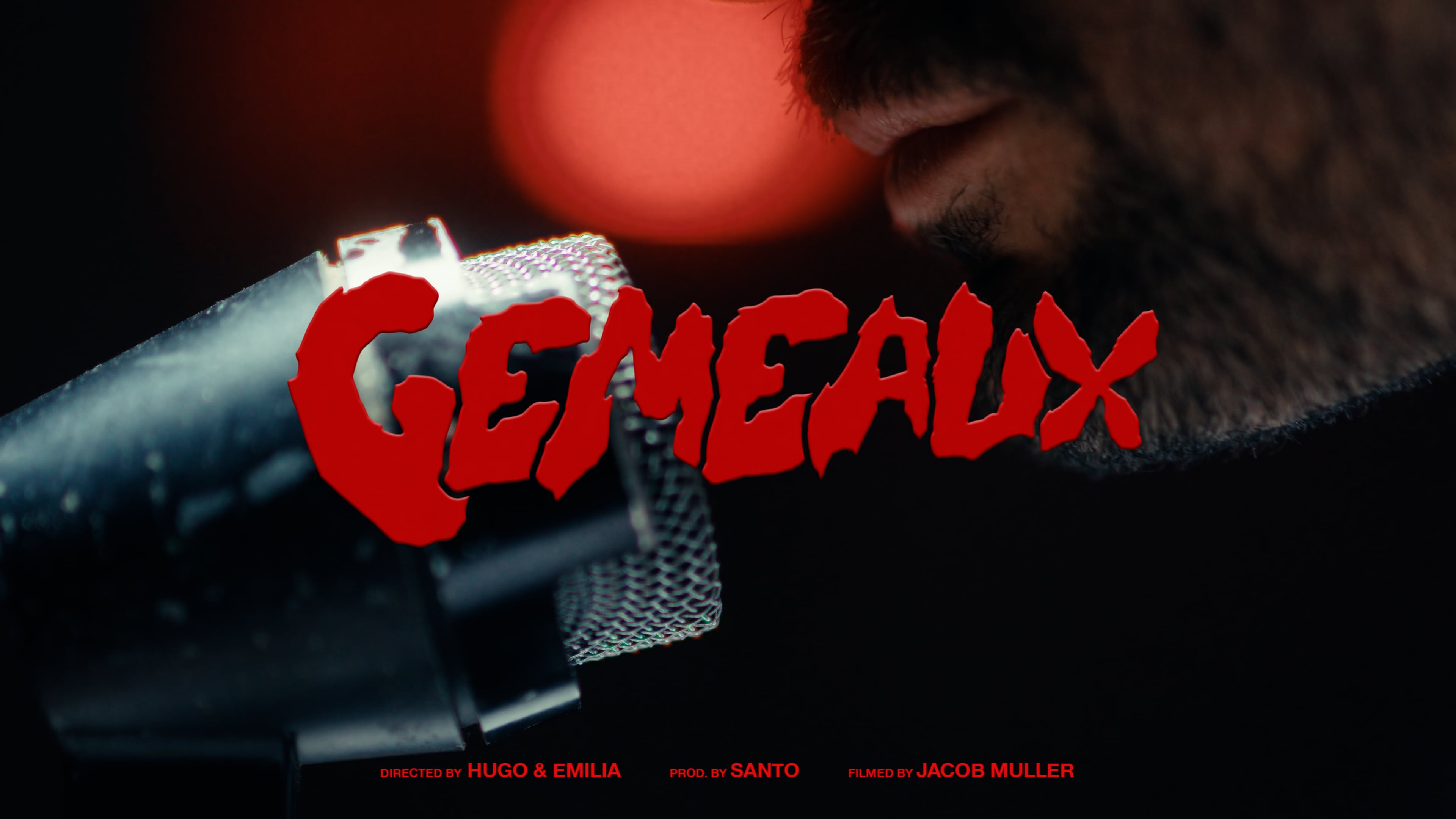 SHAIM - GEMEAUX
