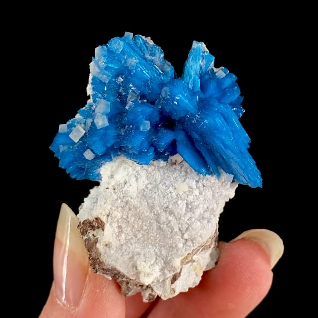 Cavansite (LARGE individual crystals!)