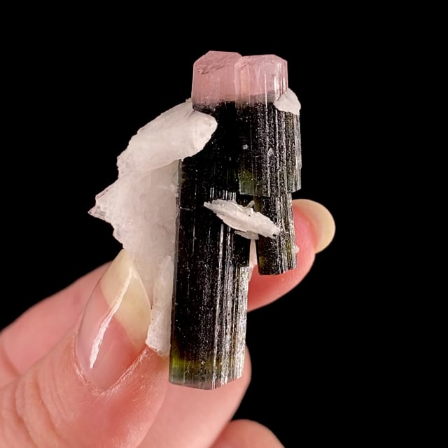 Tourmaline (multi-color doubly-terminated crystals) with Albite