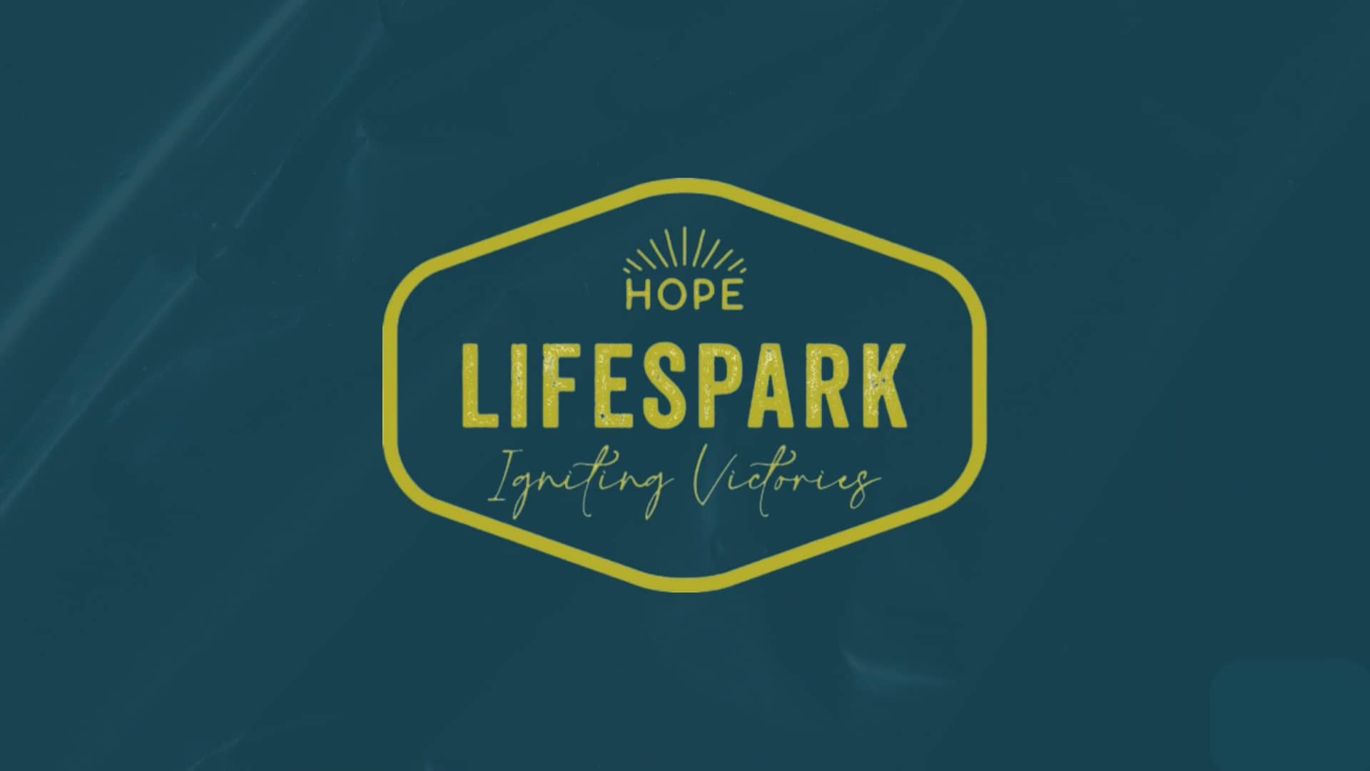 educational-event-19-nov-2023-lifespark-on-vimeo