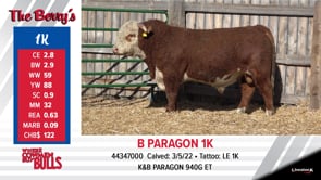 Lot #1K - B PARAGON 1K