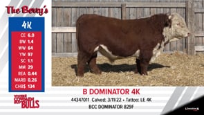 Lot #4K - B DOMINATOR 4K