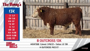 Lot #13K - B OUTCROSS 13K