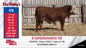 Lot #11K - B SUPERADVANCE 11K