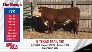 Lot #19K - B TEXAS TRAIL 19K