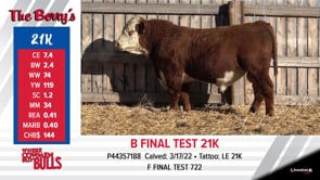 Lot #21K - B FINAL TEST 21K