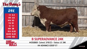 Lot #24K - BSUPERADVANCE 24K