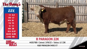 Lot #22K - B PARAGON 22K