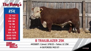 Lot #25K - B TRAILBLAZER 25K