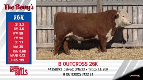 Lot #26K - B OUTCROSS 26K