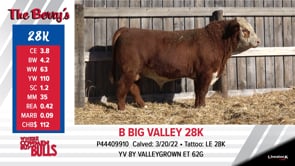 Lot #28K - B BIG VALLEY 28K