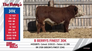 Lot #30K - B BERRYS FINEST 30K