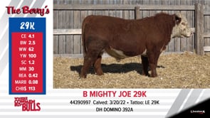 Lot #29K - B MIGHTY JOE 29K