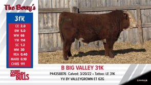 Lot #31K - B BIG VALLEY 31K